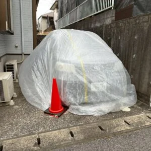 養生