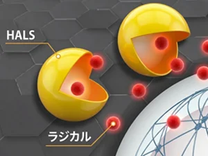 高耐久性で屋根を守る