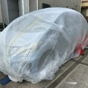 養生
