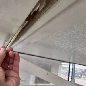 鼻隠し