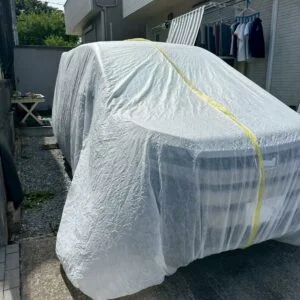 養生